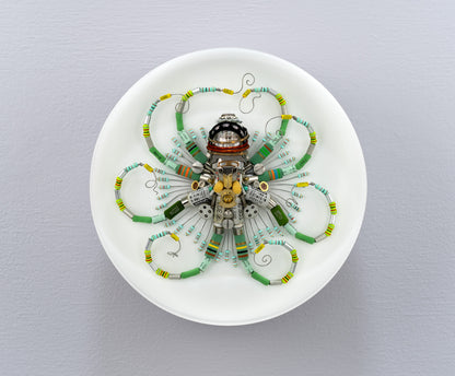 Graduated Phytophore Octopus, 2024