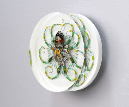 Graduated Phytophore Octopus, 2024