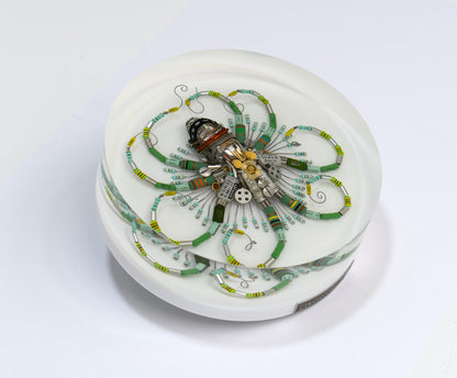 Graduated Phytophore Octopus, 2024