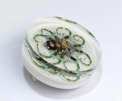 Graduated Phytophore Octopus, 2024