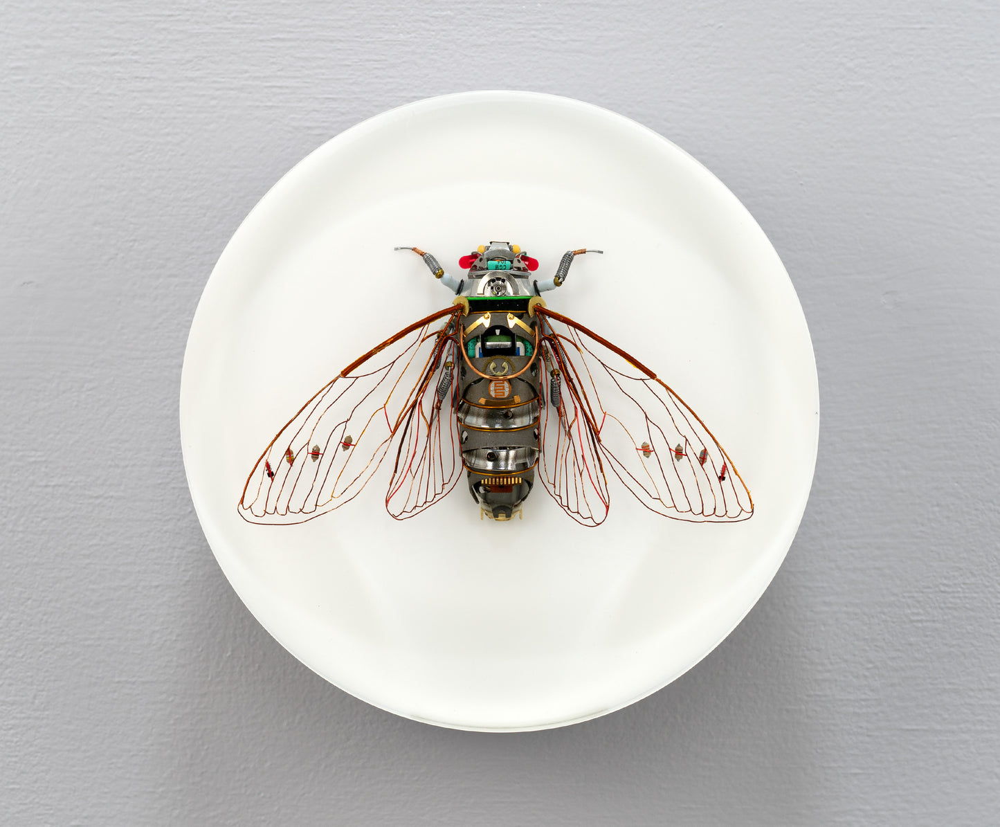 Photocell Cicada, 2024