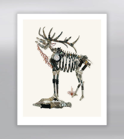 American Elk Signed Fine Art Print (8 x 10)