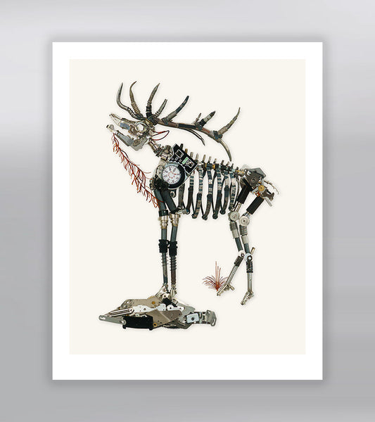 American Elk Signed Fine Art Print (8 x 10)