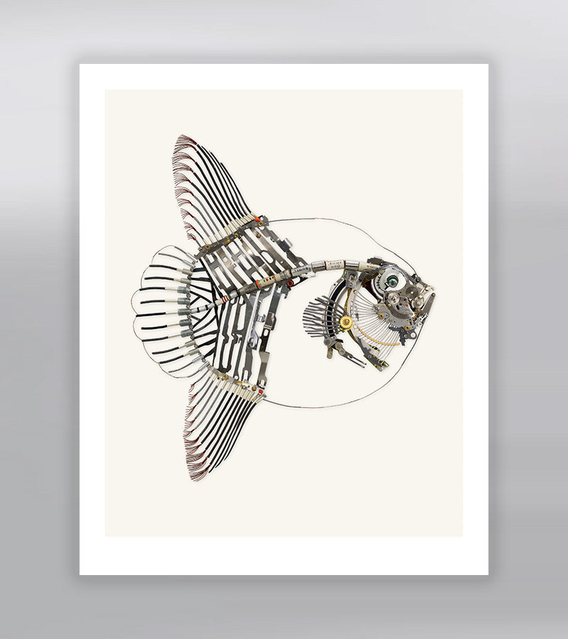 Mola Signed Fine Art Print (8 x 10)