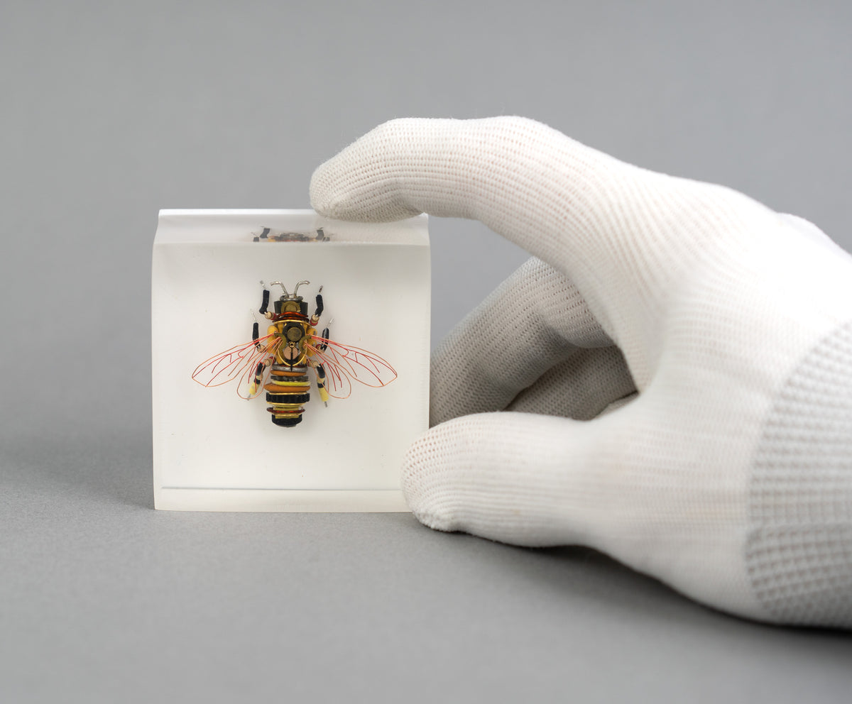 Apis Exotica II, 2026