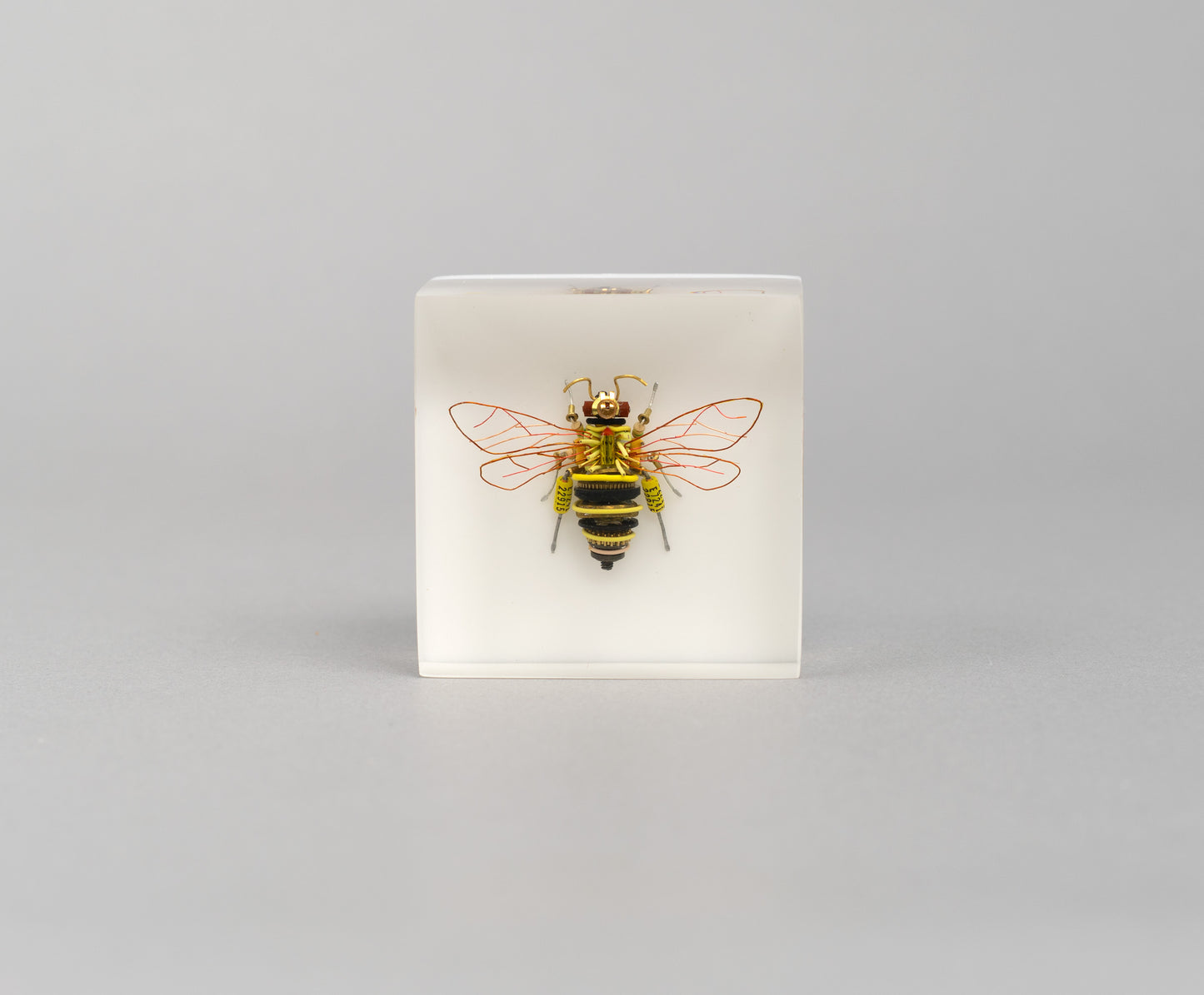 BeeBee, 2026