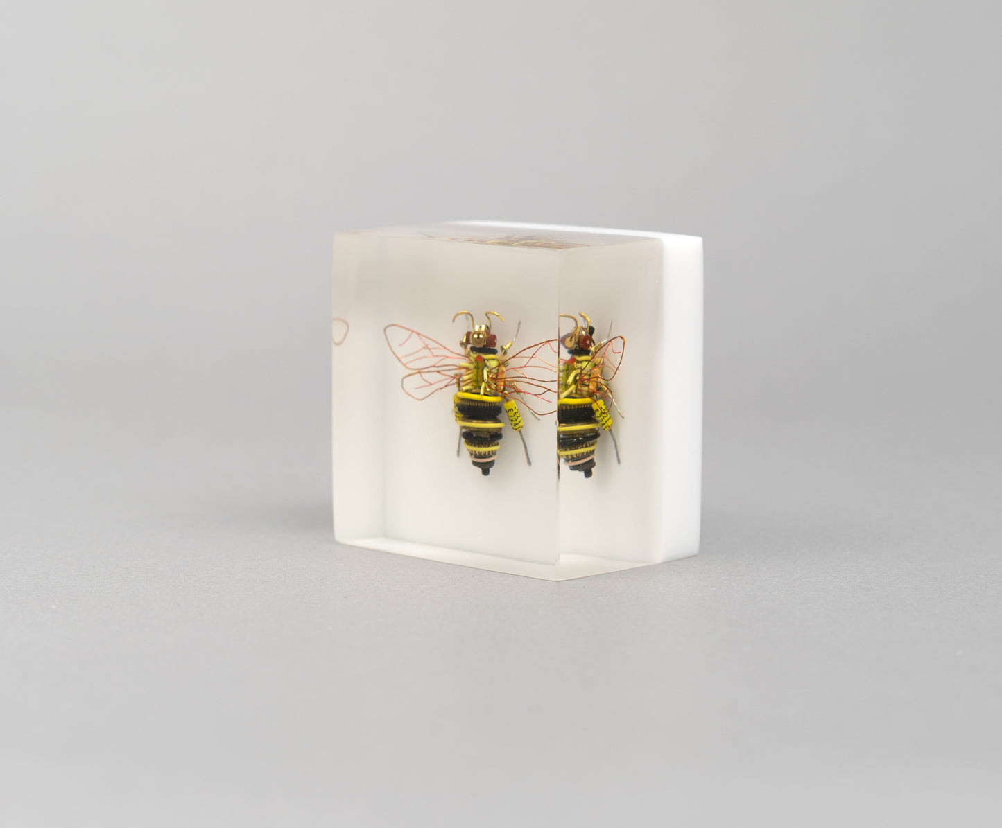 BeeBee, 2026