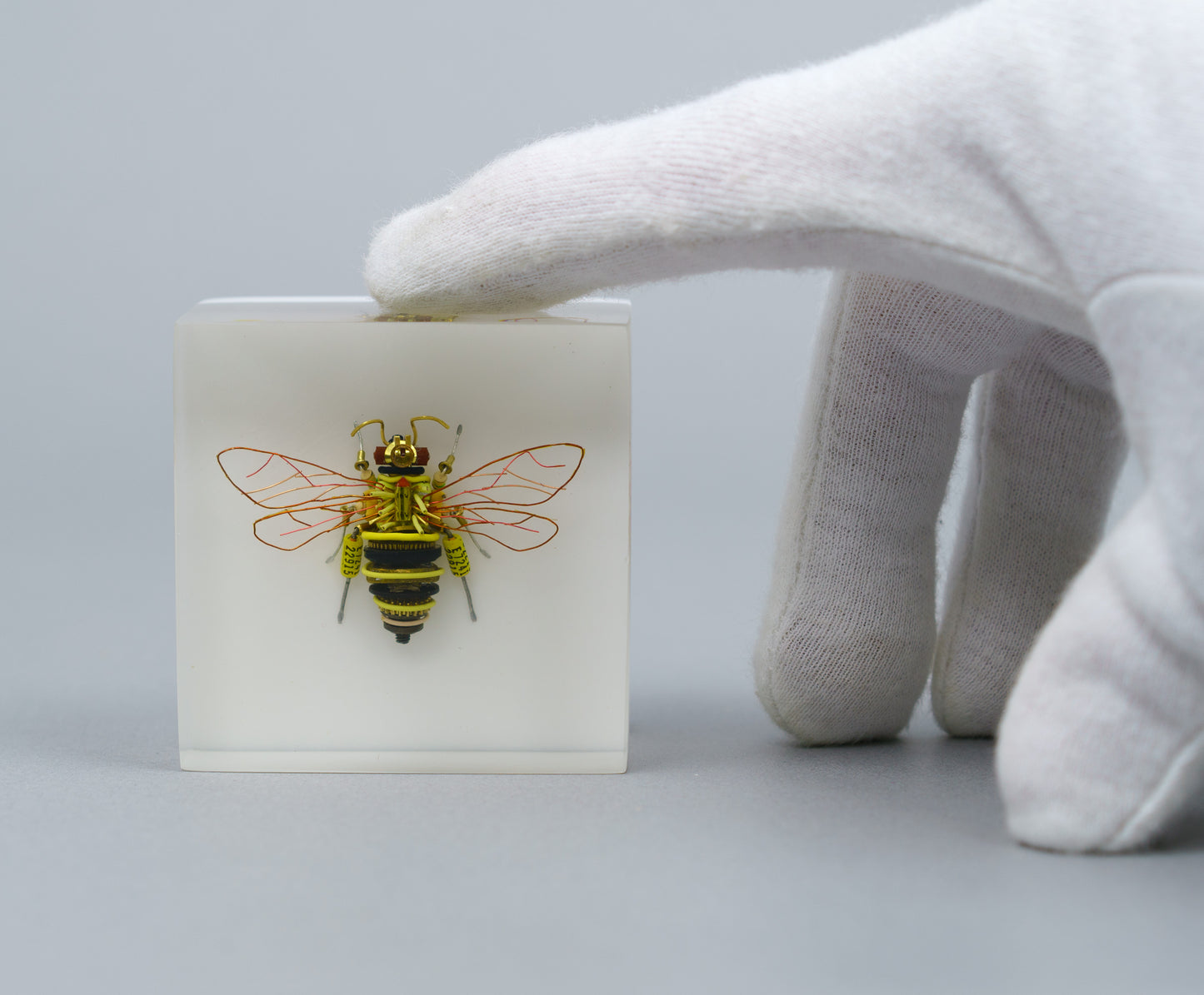 BeeBee, 2026