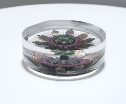 Passion Flower, 2022