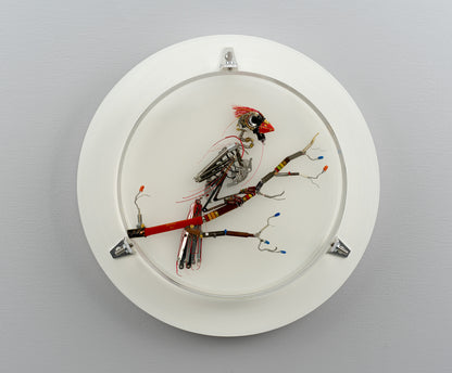 Summertime Messenger, 2026