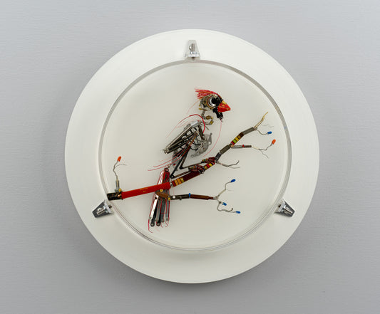 Summertime Messenger, 2026