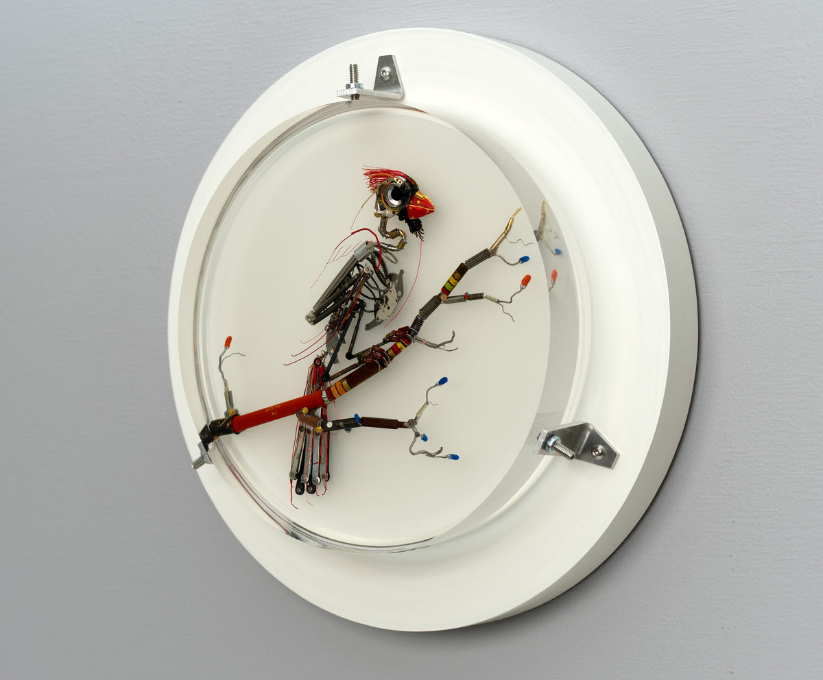 Summertime Messenger, 2026