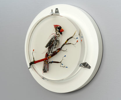 Summertime Messenger, 2026