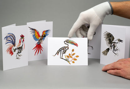 The Birds: A6 Greeting Cards