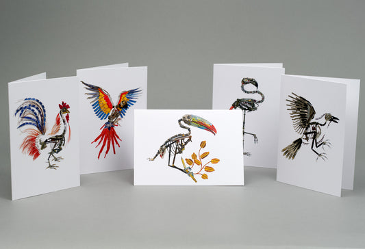 The Birds: A6 Greeting Cards