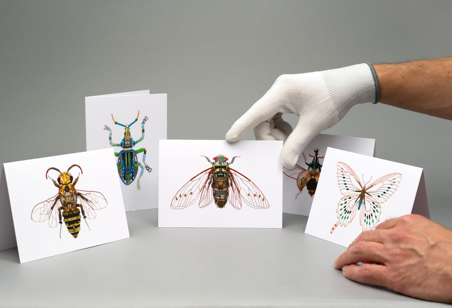 The Insects: A6 Greeting Cards