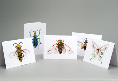 The Insects: A6 Greeting Cards