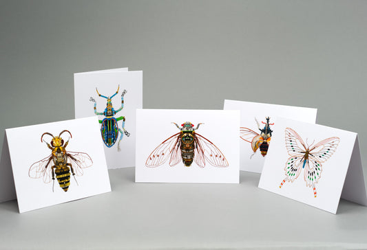 The Insects: A6 Greeting Cards