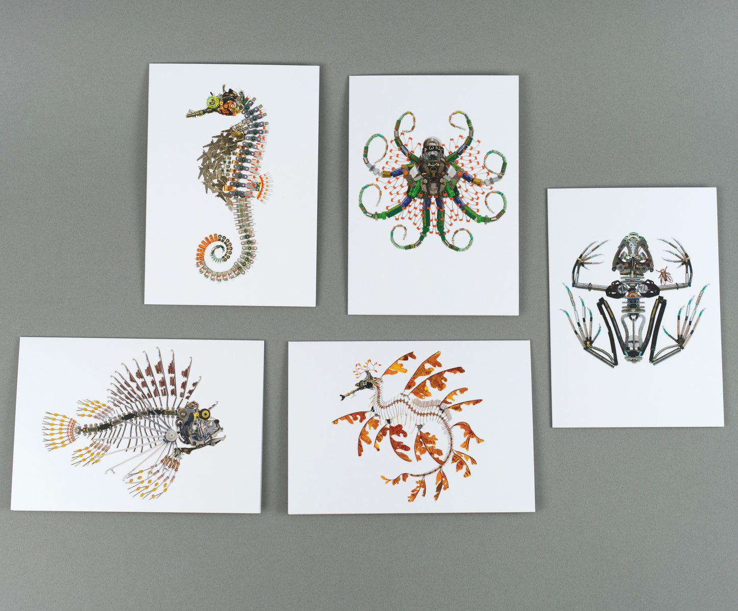 Water Creatures I: A6 Greeting Cards
