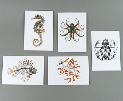 Water Creatures I: A6 Greeting Cards