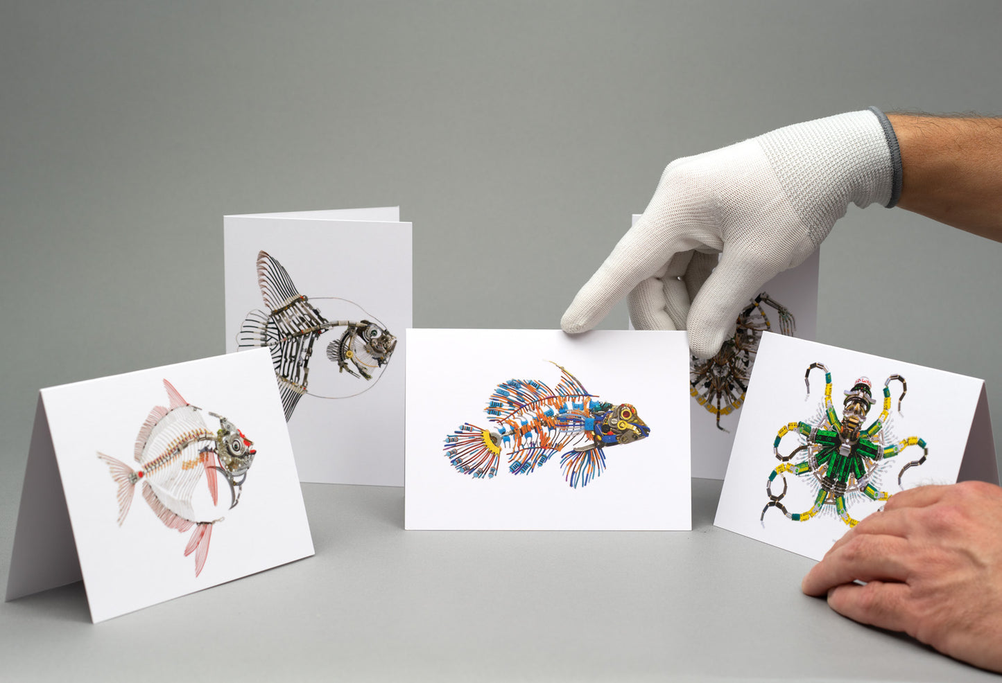 Water Creatures II: A6 Greeting Cards