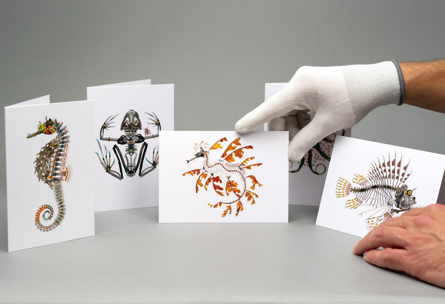 Water Creatures I: A6 Greeting Cards