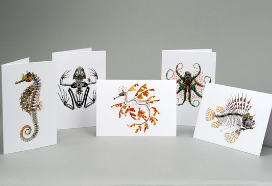 Water Creatures I: A6 Greeting Cards