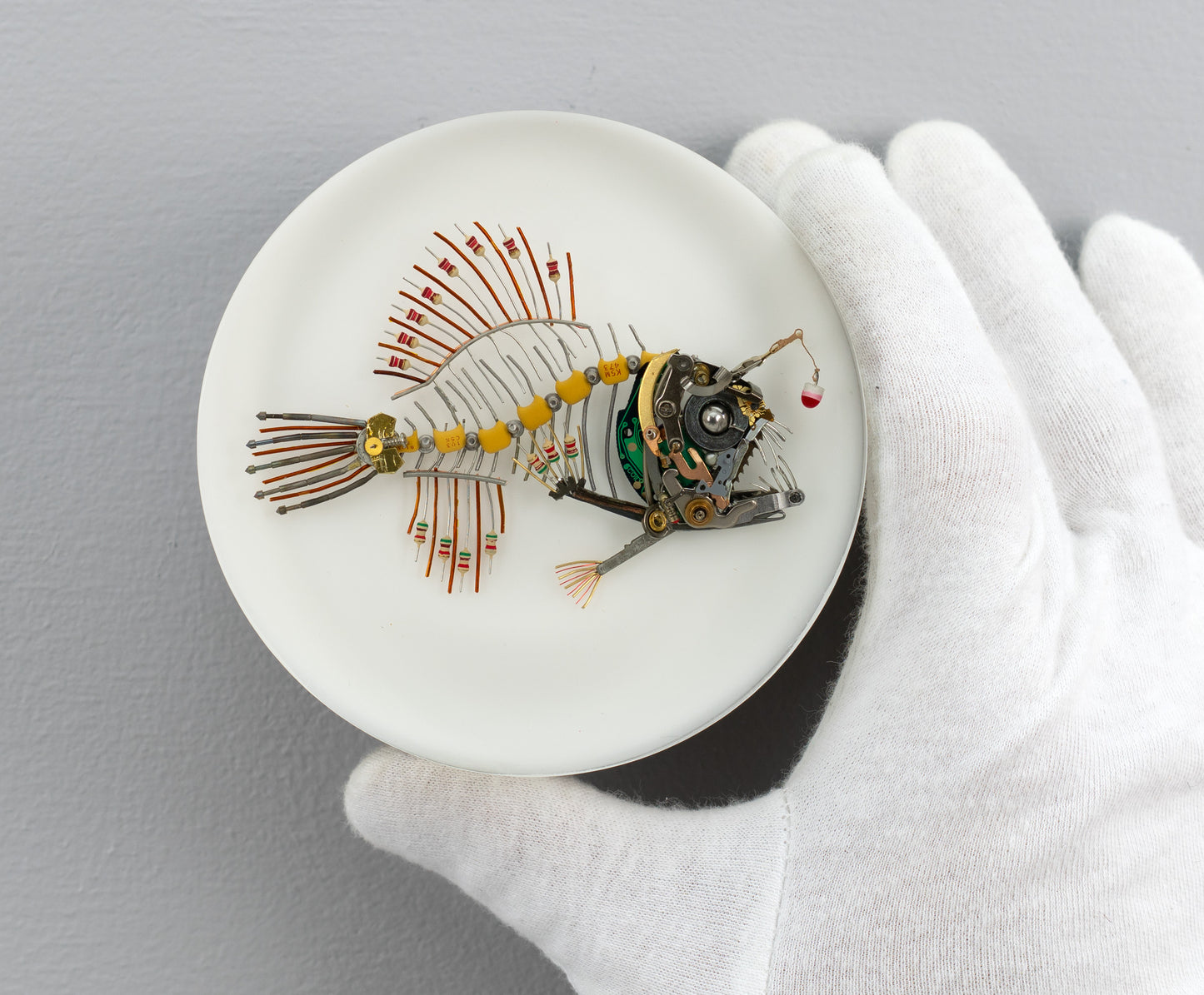 Bobber-Top Anglerfish, 2025