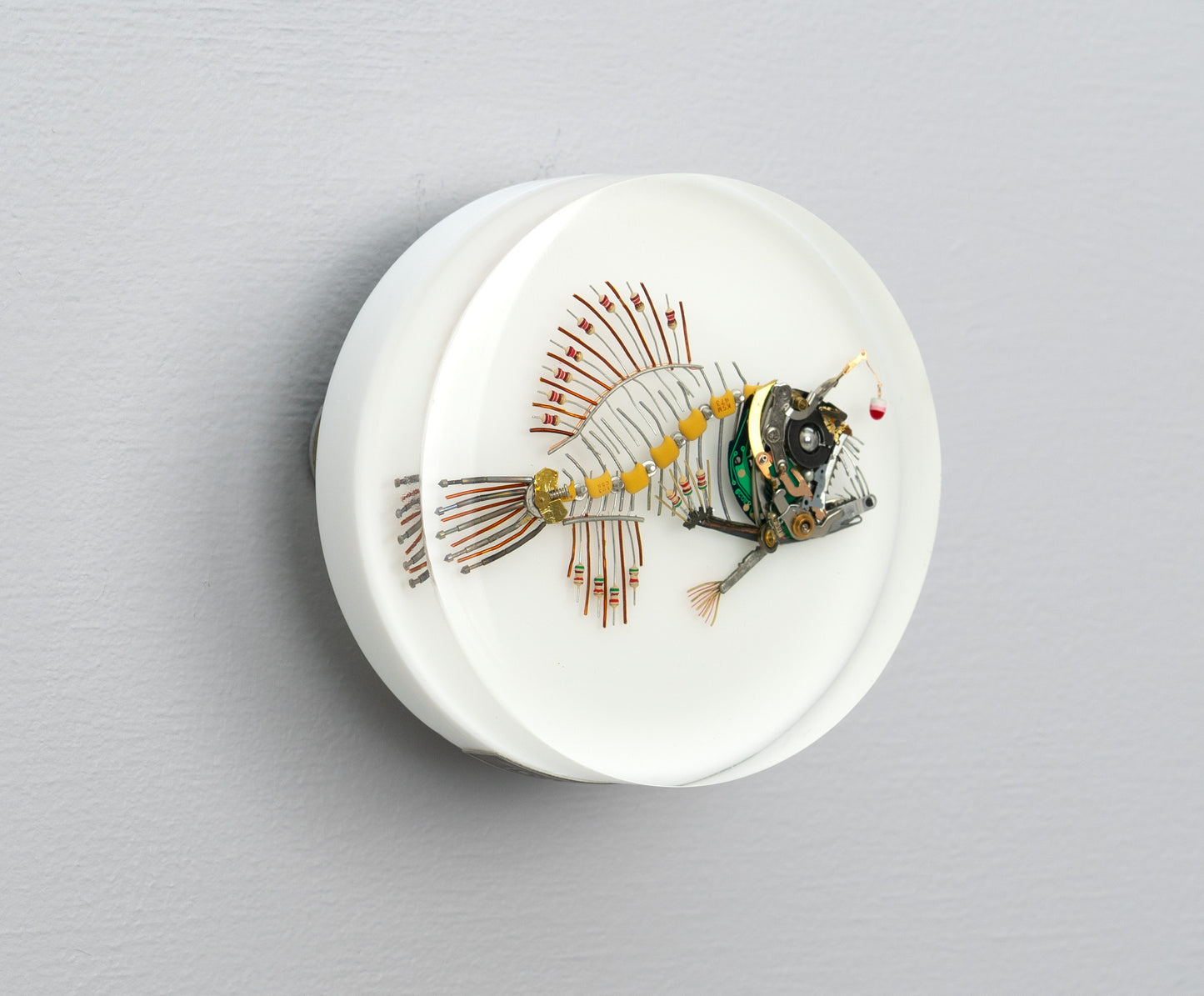 Bobber-Top Anglerfish, 2025