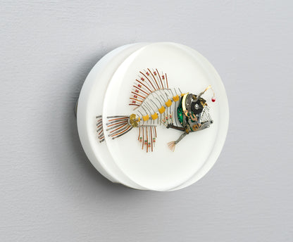 Bobber-Top Anglerfish, 2025