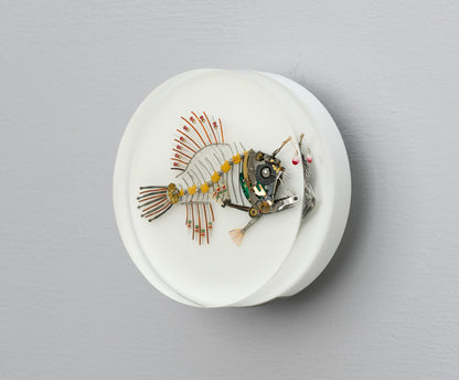 Bobber-Top Anglerfish, 2025