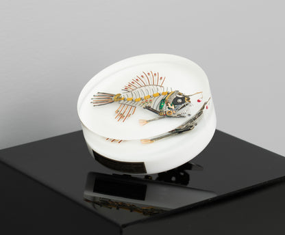 Bobber-Top Anglerfish, 2025