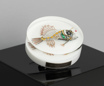 Bobber-Top Anglerfish, 2025