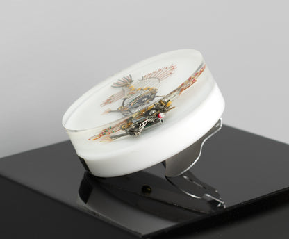 Bobber-Top Anglerfish, 2025