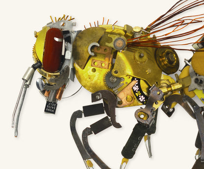 Honey Bee Signed Fine Art Print (8 x 10)