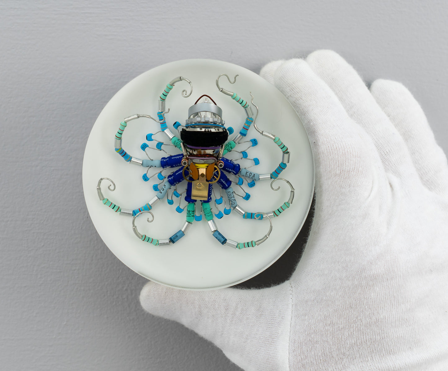 Wagon Wheel Octopus (Tube-Head Cephalopod), 2025