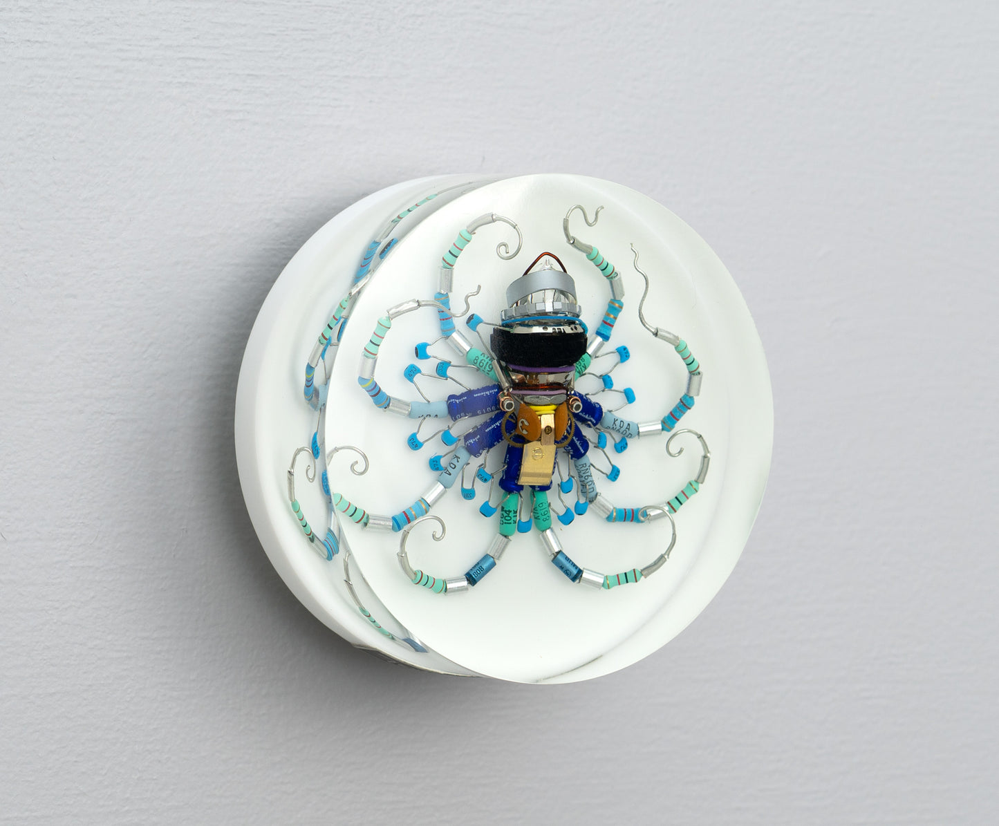 Wagon Wheel Octopus (Tube-Head Cephalopod), 2025