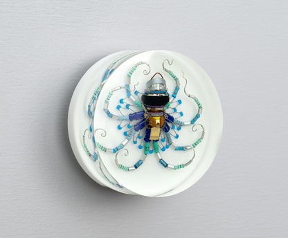 Wagon Wheel Octopus (Tube-Head Cephalopod), 2025