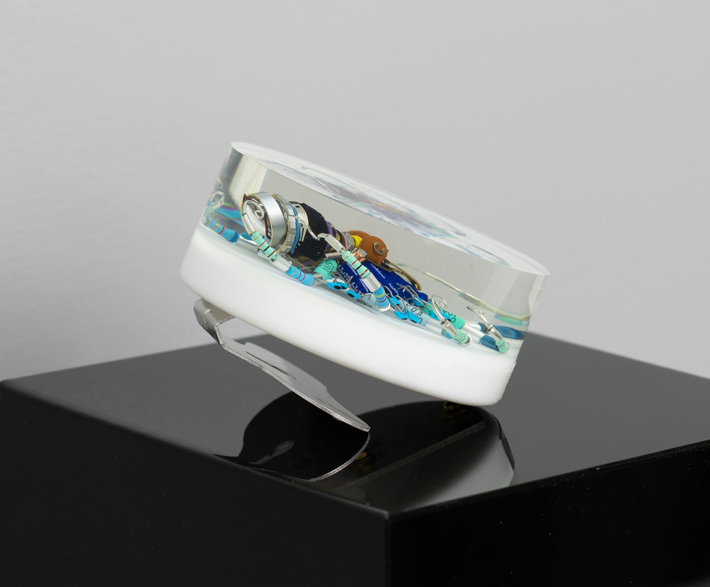 Wagon Wheel Octopus (Tube-Head Cephalopod), 2025