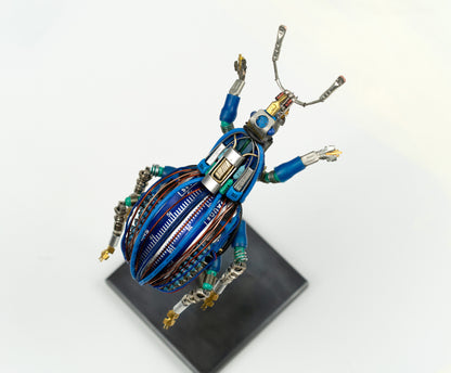 Blue-Gauge Weevil, 2025