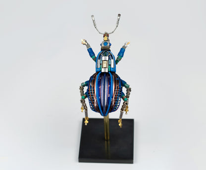 Blue-Gauge Weevil, 2025
