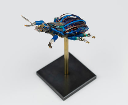 Blue-Gauge Weevil, 2025