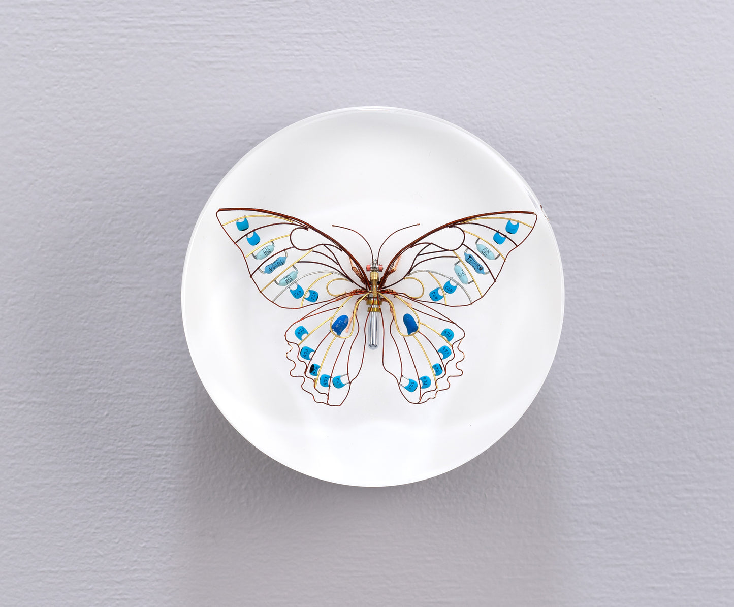 Sky Switch Butterfly, 2024