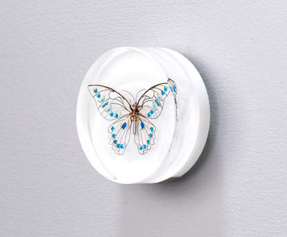 Sky Switch Butterfly, 2024