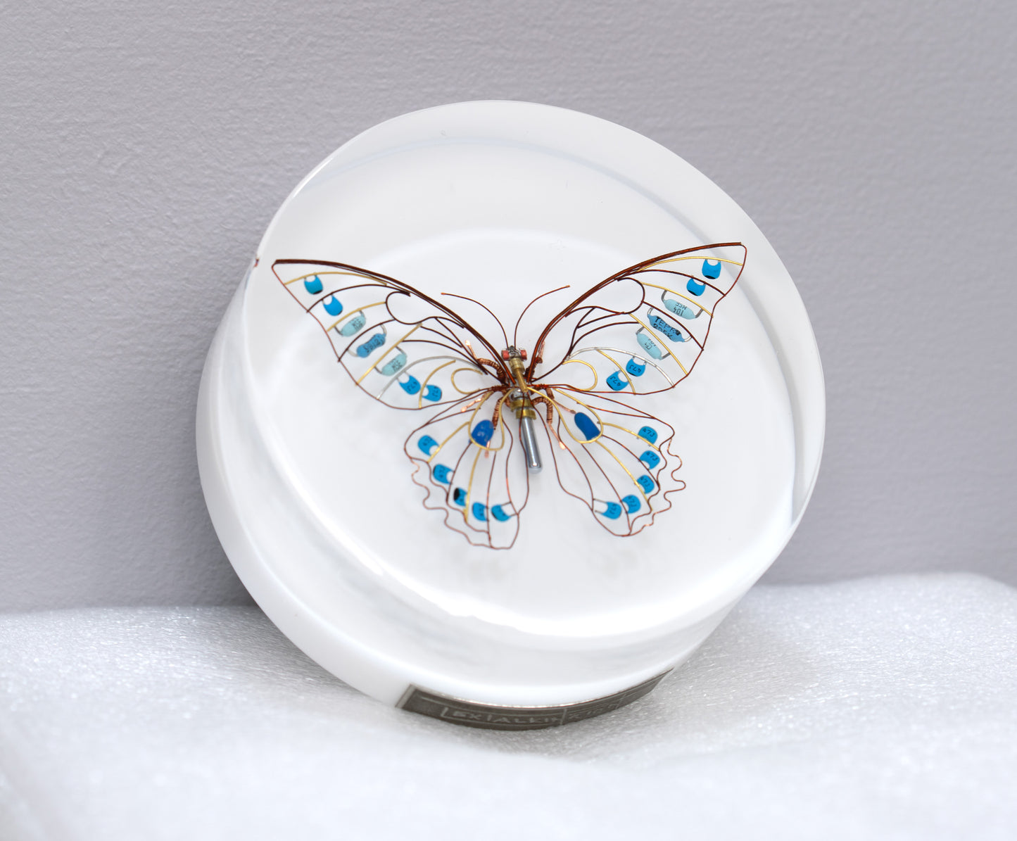 Sky Switch Butterfly, 2024