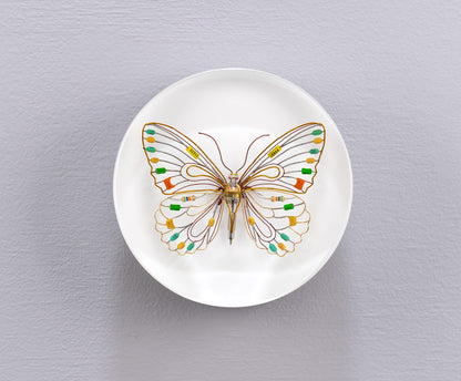 Citrus Photon Butterfly, 2024