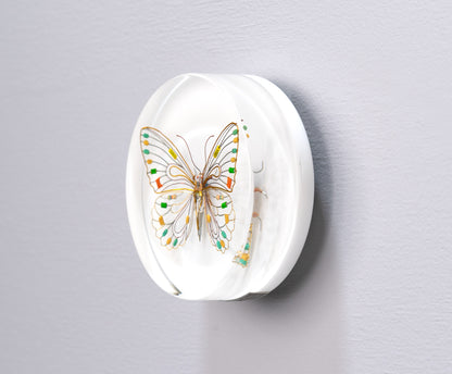 Citrus Photon Butterfly, 2024