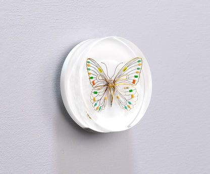 Citrus Photon Butterfly, 2024