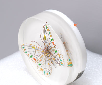 Citrus Photon Butterfly, 2024