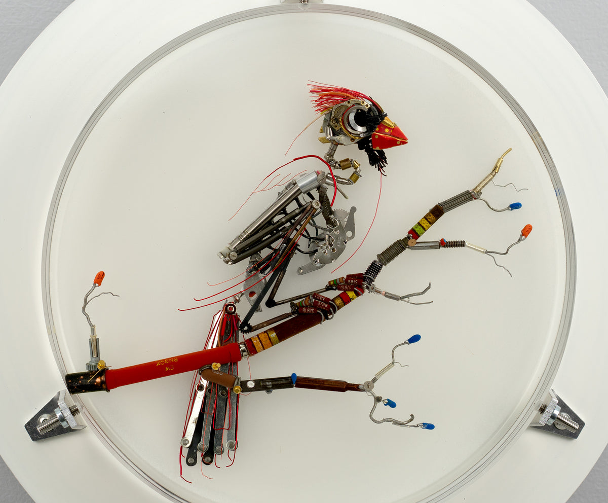 Summertime Messenger, 2026
